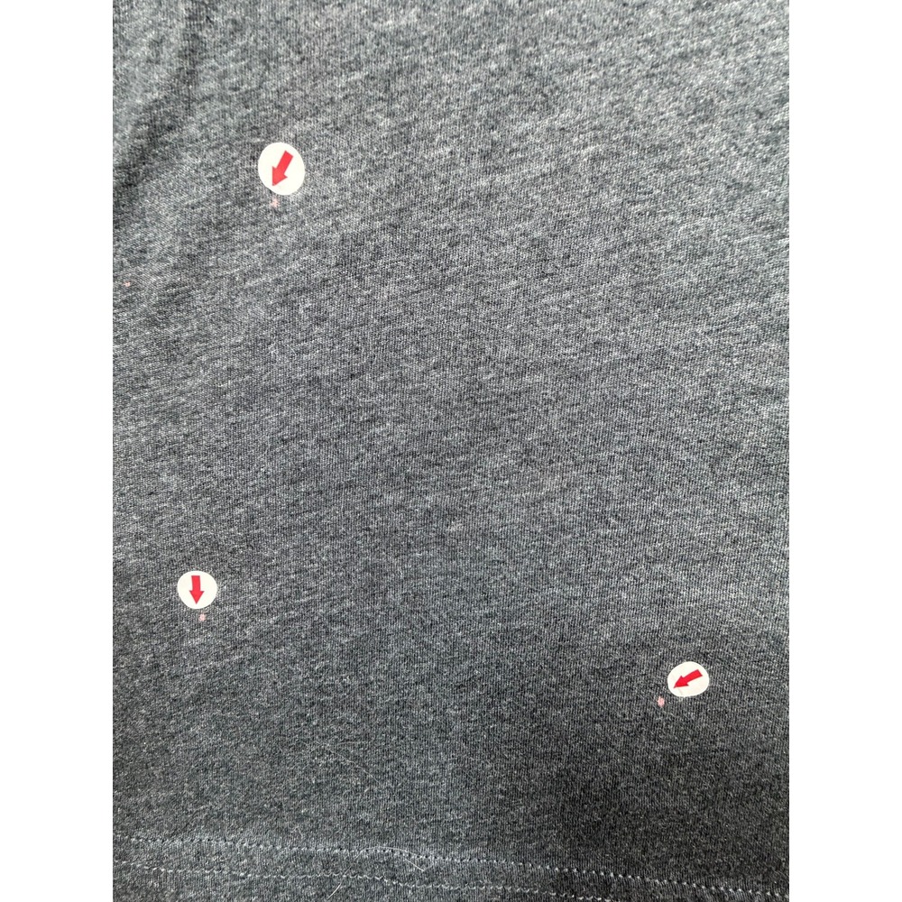 Turnpike Troubadours Mens Large T Shirt Gray 2024 Oklahoma City Concert - Picture 4 of 10